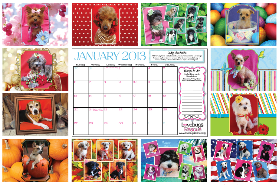 Calendar2013BackCoverAll